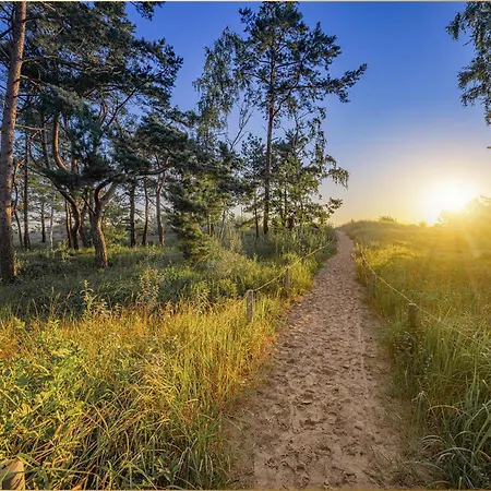 Waldsiedlung Waldhaus App 4.2 Lejlighed